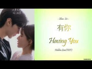 Having You Lyrics - Hidden Love OST