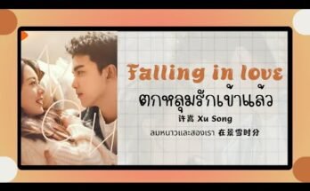 Falling In Love Lyrics - Xu Song | Amidst A Snowstorm of Love